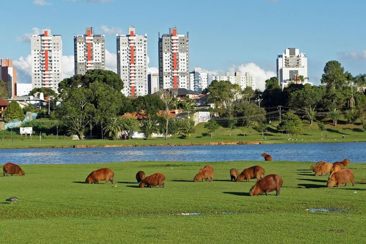 Predio Fantastico No Bairro Mais Requisitado De Curitiba Eksteriør billede